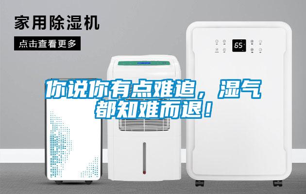 你說你有點(diǎn)難追，濕氣都知難而退！