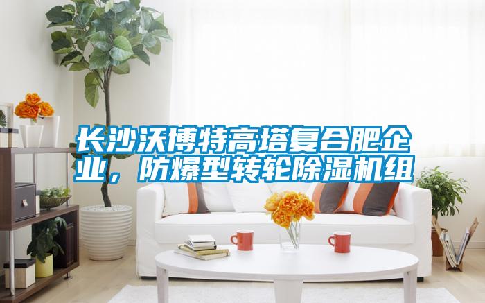 長沙沃博特高塔復合肥企業(yè)，防爆型轉(zhuǎn)輪除濕機組