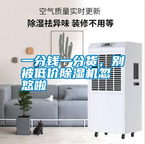 一分錢一分貨，別被低價除濕機忽悠啦