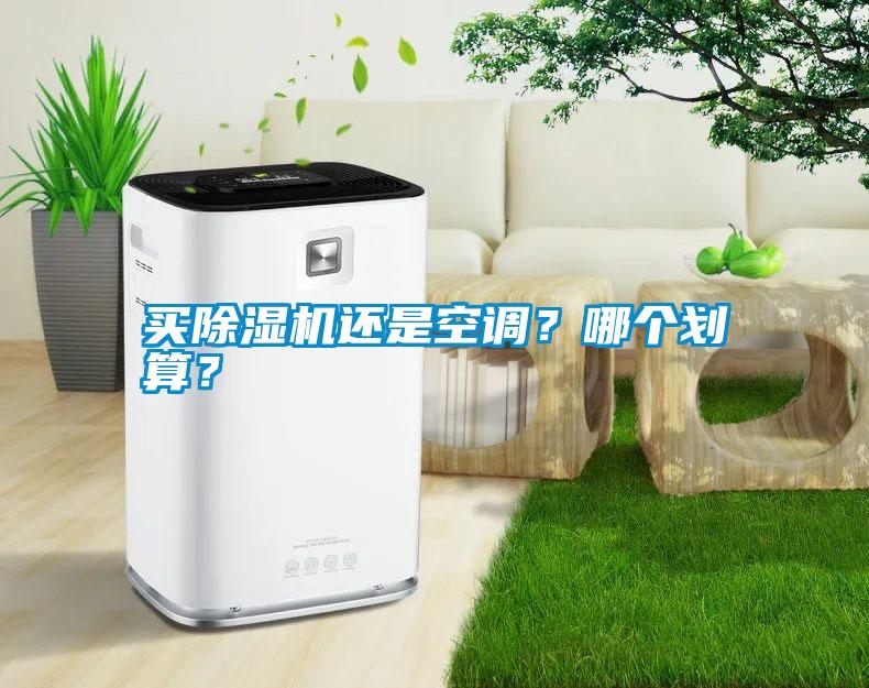 買(mǎi)除濕機(jī)還是空調(diào)？哪個(gè)劃算？