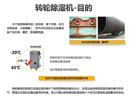 貓糧防潮秘籍，貓糧如何儲存