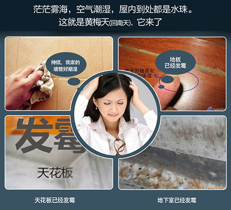 家庭別墅的地下室、衛(wèi)生間、儲物室等該如何除濕？