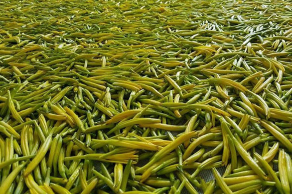 無硫金針菜烘干如何保持品相？不發(fā)黑？