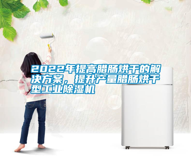 2022年提高臘腸烘干的解決方案，提升產(chǎn)量臘腸烘干型工業(yè)除濕機(jī)
