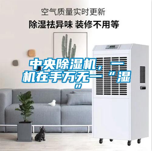 中央除濕機(jī)，一機(jī)在手萬無一“濕”
