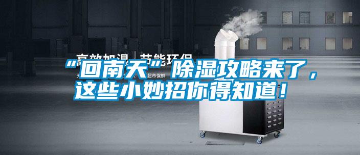 “回南天”除濕攻略來了，這些小妙招你得知道！