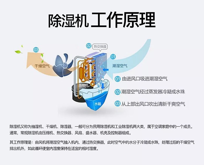 南方梅雨季到了房屋墻壁滲水、返潮怎么辦？