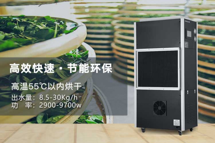 潮濕天氣來襲，螨蟲爆滿床！