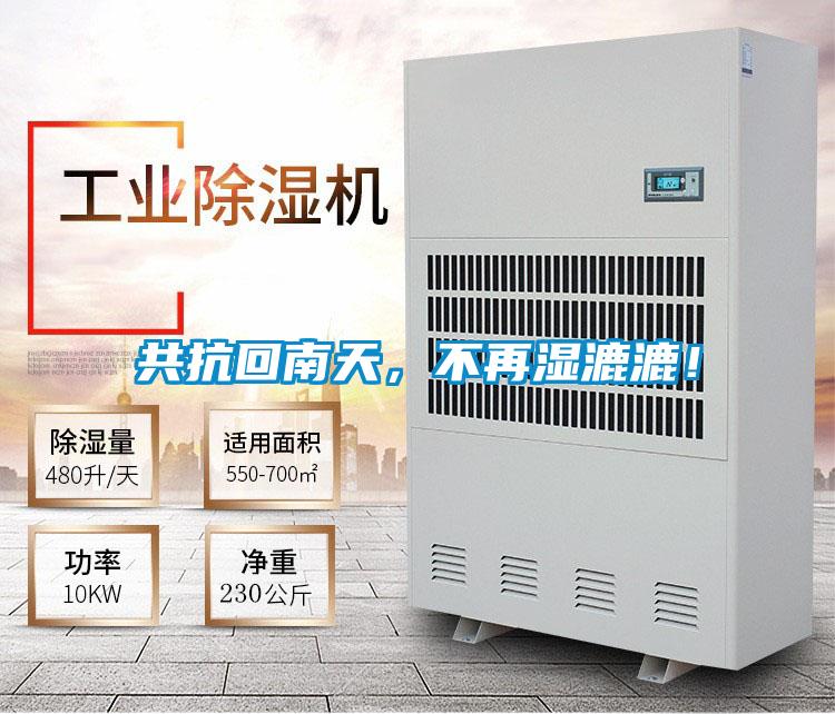 共抗回南天，不再濕漉漉！