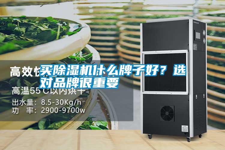 買除濕機什么牌子好？選對品牌很重要