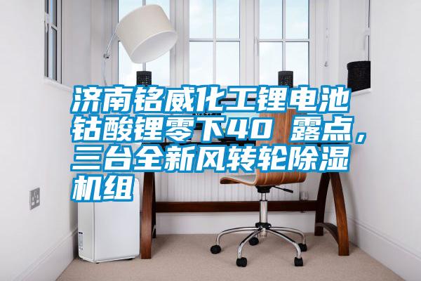 濟南銘威化工鋰電池鈷酸鋰零下40℃露點，三臺全新風(fēng)轉(zhuǎn)輪除濕機組