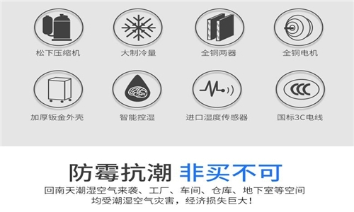 為什么房子潮濕會有危害？