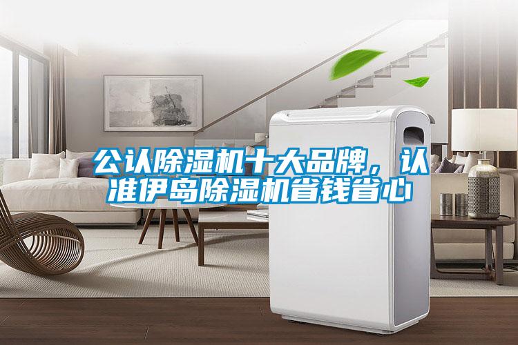 公認(rèn)除濕機(jī)十大品牌，認(rèn)準(zhǔn)伊島除濕機(jī)省錢省心