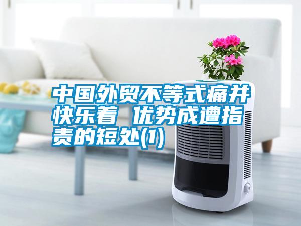 中國(guó)外貿(mào)不等式痛并快樂著 優(yōu)勢(shì)成遭指責(zé)的短處(1)