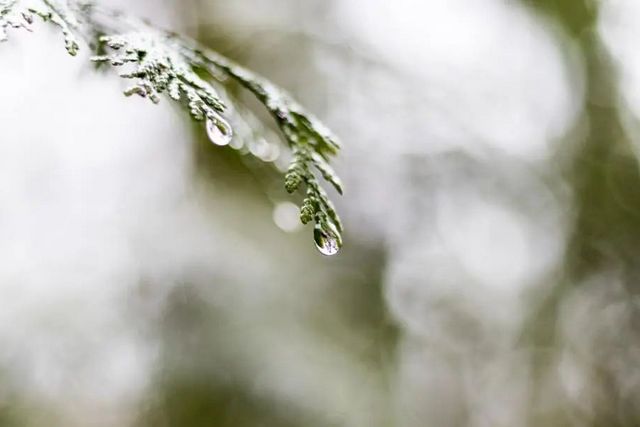 空氣濕度大帶來的危害有哪些，你知道嗎？