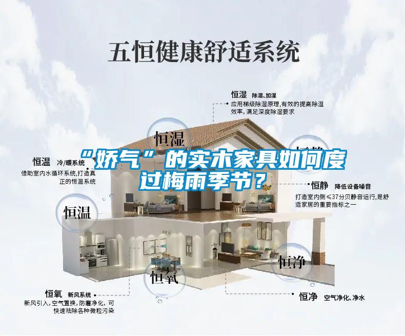“嬌氣”的實木家具如何度過梅雨季節(jié)？