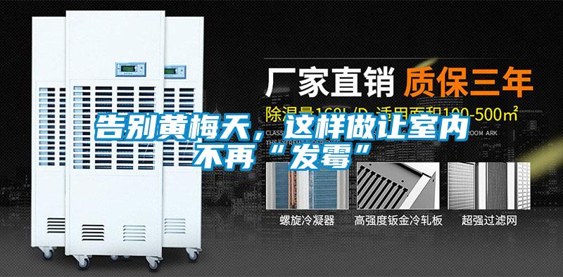 告別黃梅天，這樣做讓室內(nèi)不再“發(fā)霉”