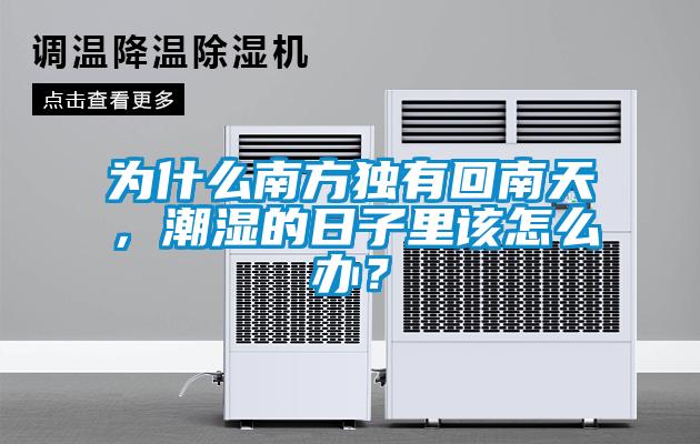 為什么南方獨(dú)有回南天，潮濕的日子里該怎么辦？