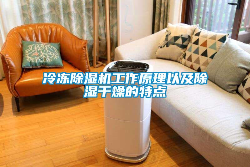 冷凍除濕機工作原理以及除濕干燥的特點