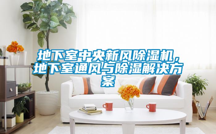 地下室中央新風(fēng)除濕機(jī)，地下室通風(fēng)與除濕解決方案
