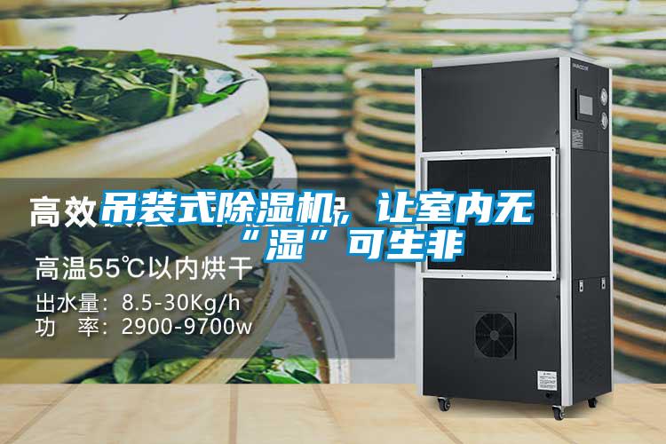 吊裝式除濕機，讓室內(nèi)無“濕”可生非
