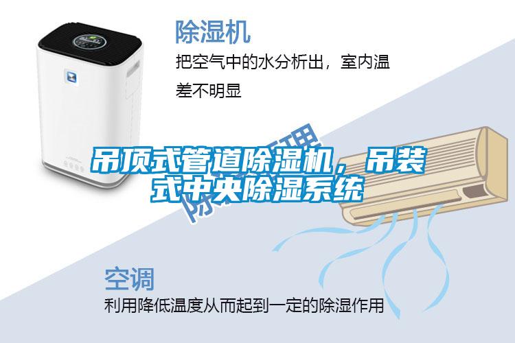 吊頂式管道除濕機，吊裝式中央除濕系統(tǒng)