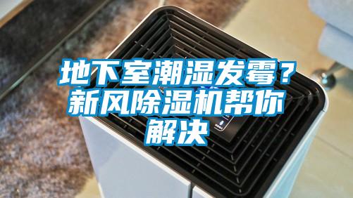 地下室潮濕發(fā)霉？新風(fēng)除濕機(jī)幫你解決