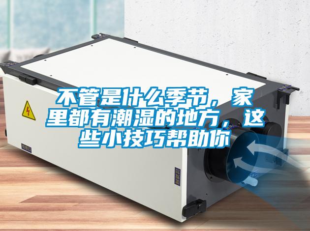 不管是什么季節(jié)，家里都有潮濕的地方，這些小技巧幫助你