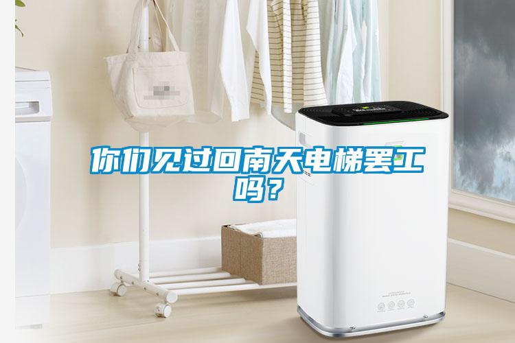 你們見過回南天電梯罷工嗎？