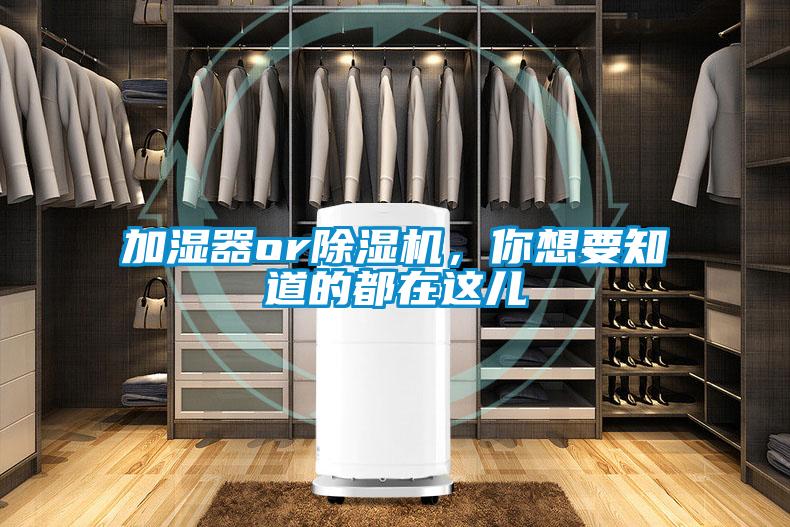 加濕器or除濕機，你想要知道的都在這兒