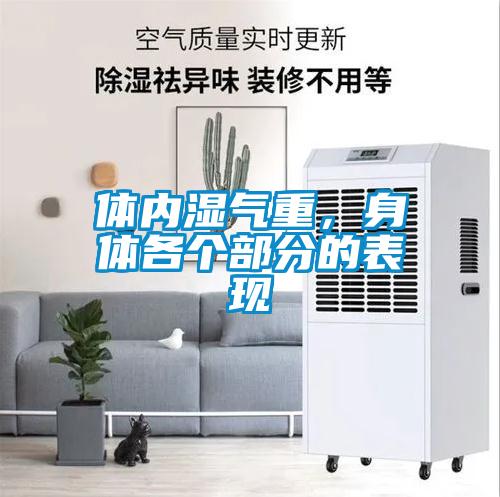 體內(nèi)濕氣重，身體各個(gè)部分的表現(xiàn)
