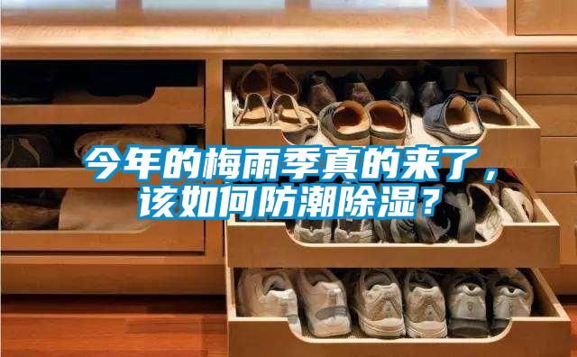 今年的梅雨季真的來了，該如何防潮除濕？