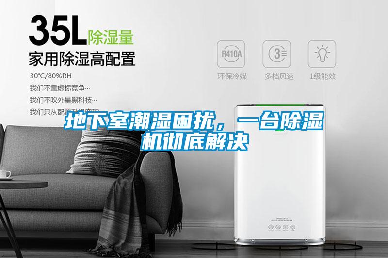 地下室潮濕困擾，一臺(tái)除濕機(jī)徹底解決