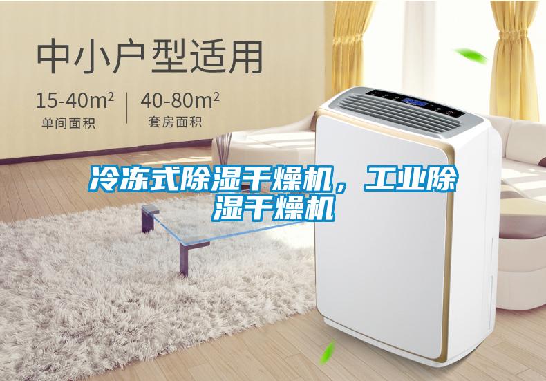 冷凍式除濕干燥機(jī)，工業(yè)除濕干燥機(jī)