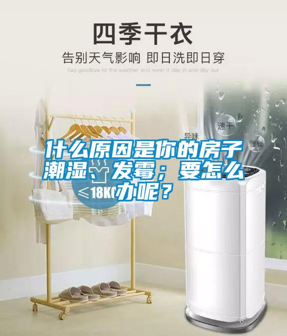 什么原因是你的房子潮濕、發(fā)霉；要怎么辦呢？