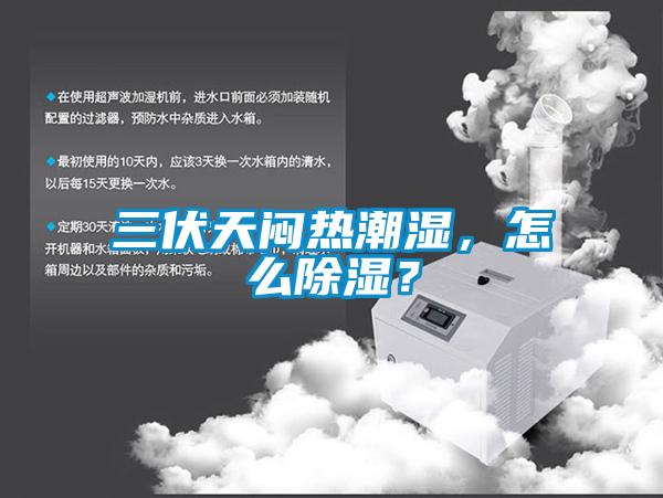 三伏天悶熱潮濕，怎么除濕？