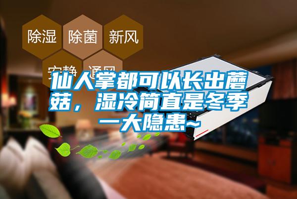 仙人掌都可以長(zhǎng)出蘑菇，濕冷簡(jiǎn)直是冬季一大隱患~