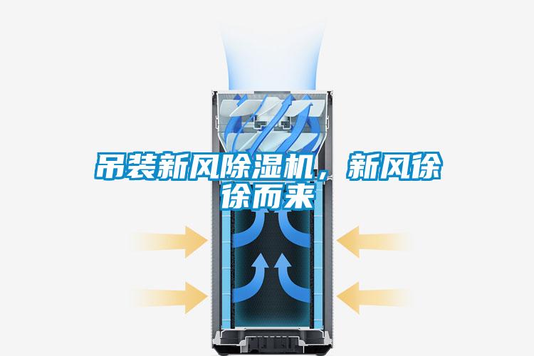 吊裝新風(fēng)除濕機(jī)，新風(fēng)徐徐而來