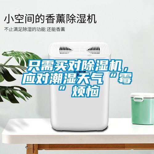 只需買對除濕機，應對潮濕天氣“霉”煩惱