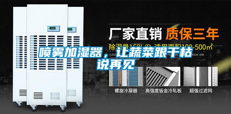 噴霧加濕器，讓蔬菜跟干枯說再見