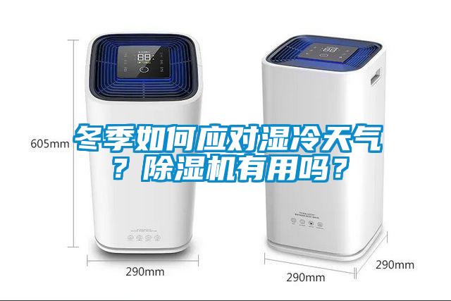 冬季如何應(yīng)對濕冷天氣？除濕機有用嗎？