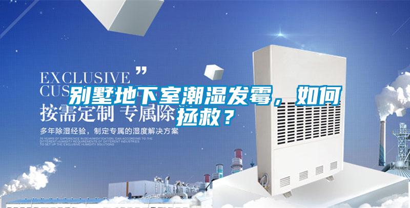 別墅地下室潮濕發(fā)霉，如何拯救？
