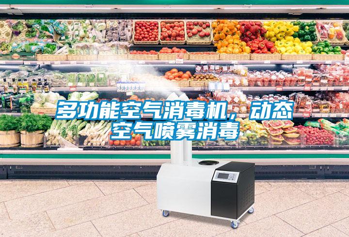 多功能空氣消毒機，動態(tài)空氣噴霧消毒