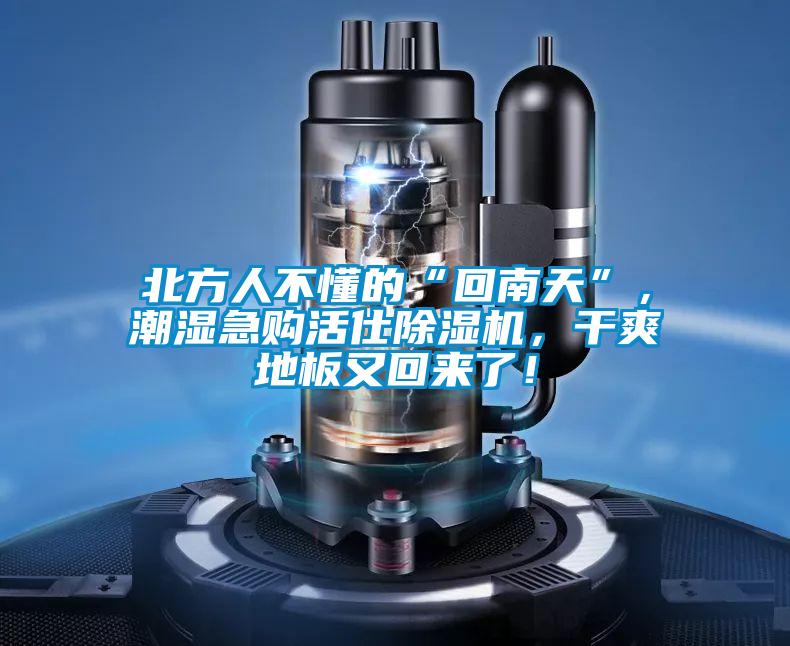 北方人不懂的“回南天”，潮濕急購活仕除濕機，干爽地板又回來了！