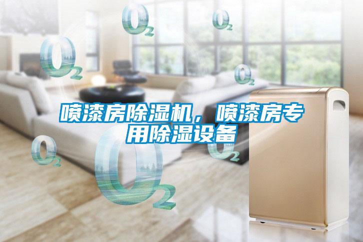 噴漆房除濕機(jī)，噴漆房專用除濕設(shè)備