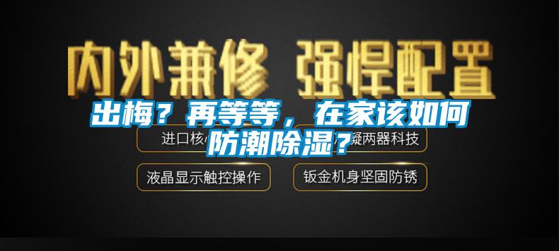 出梅？再等等，在家該如何防潮除濕？