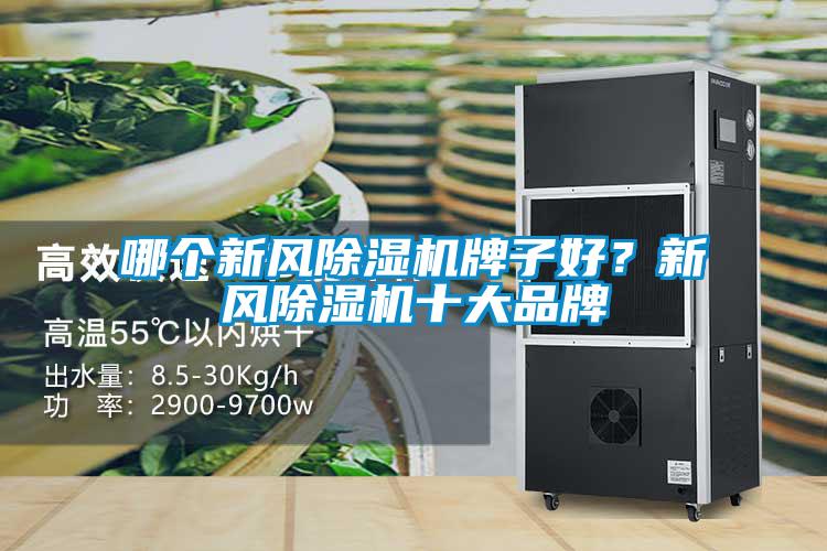 哪個(gè)新風(fēng)除濕機(jī)牌子好？新風(fēng)除濕機(jī)十大品牌