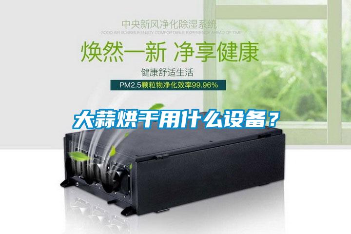 大蒜烘干用什么設備？