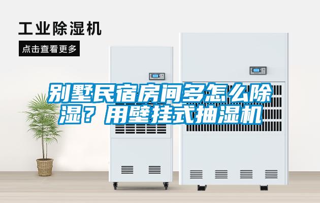 別墅民宿房間多怎么除濕？用壁掛式抽濕機(jī)