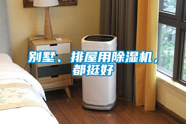 別墅、排屋用除濕機(jī)，都挺好